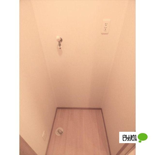 Fifth　Avenue その他