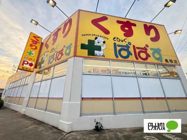 どらっぐぱぱす島根店：150m