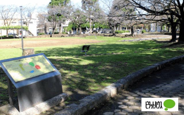 入谷中央公園：1175m