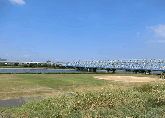 荒川千住新橋緑地：903m