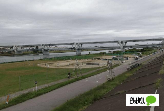 荒川日ノ出町緑地：903m