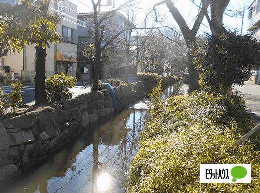 八か村落し親水緑道：245m