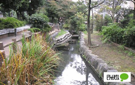 五反野親水緑道：669m