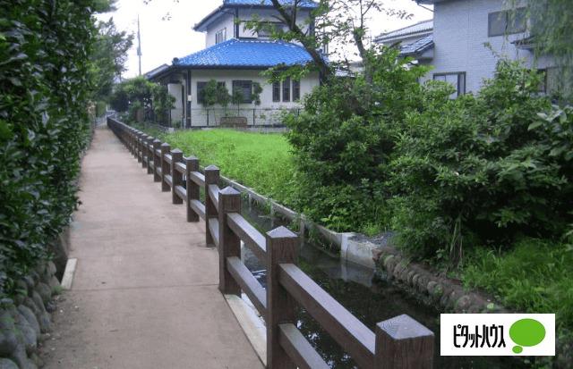 武蔵野の路：1579m