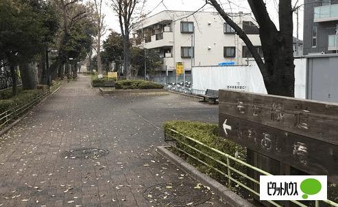 毛長緑道：1409m