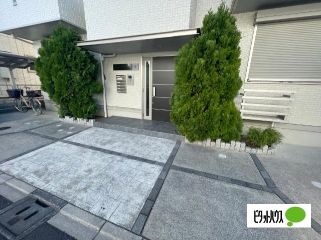 アメニティーⅡ 物件画像