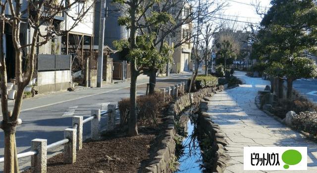 中居堀観光緑道：1098m