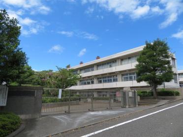 横浜市立新石川小学校：750m