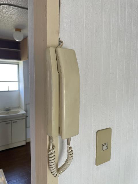 田園青葉台住宅3号棟（404） セキュリティ