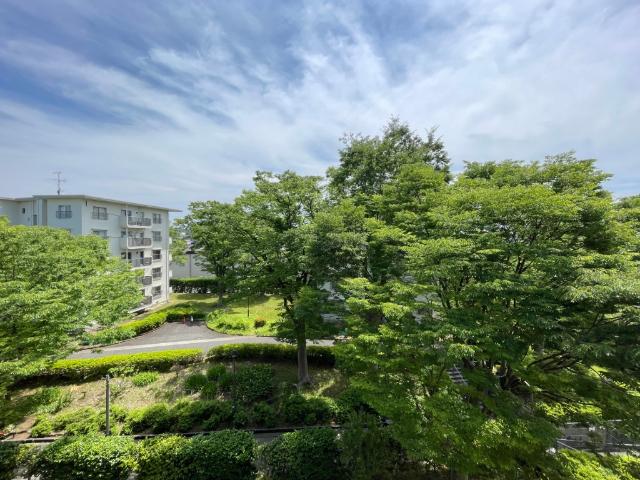 田園青葉台住宅3号棟（404） 眺望