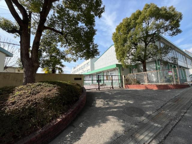 横浜市立もえぎ野小学校：974m