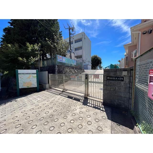 横浜市立谷本小学校：553m