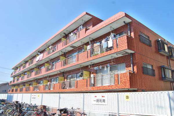 外観タイル貼り