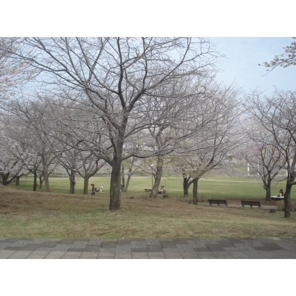 公園