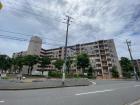 コープ野村夏見４号棟外観1