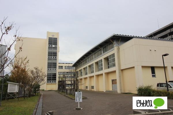 新潟市立万代長嶺小学校：576m