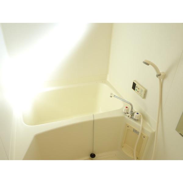 パインテイルⅡ（103） 部屋画像