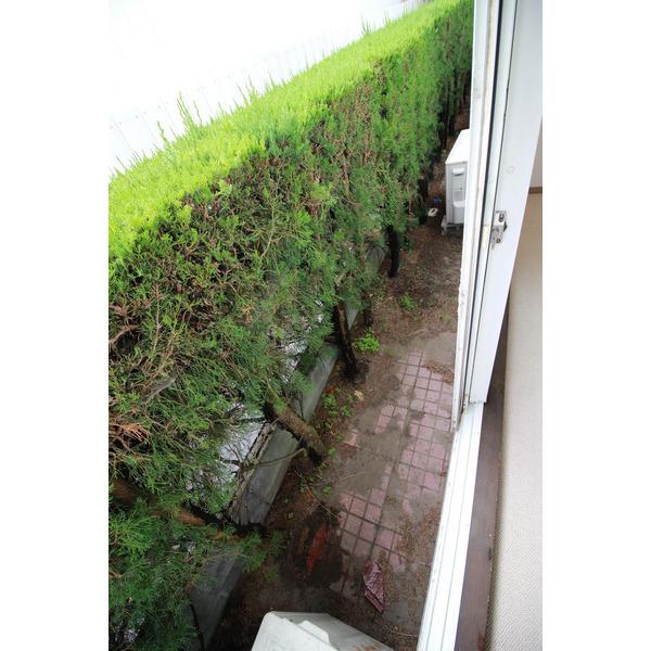 パームタウン（104） 部屋画像