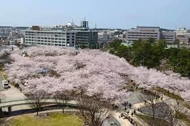 白山公園：609m