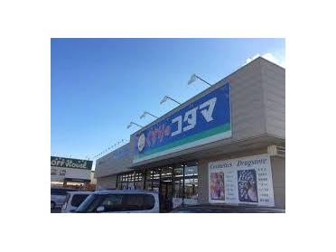 クスリのコダマ女池店：557m