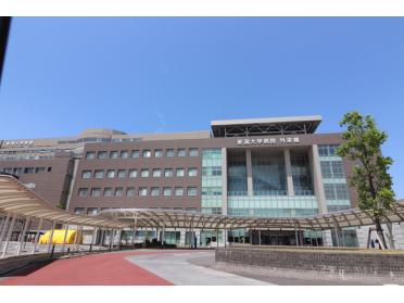 日本歯科大学新潟病院：351m