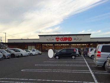 キューピットかめだ三條岡店：1000m