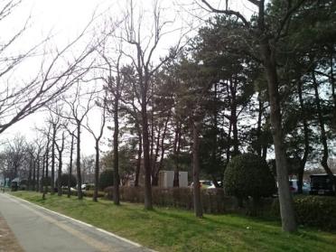 亀田公園：3000m