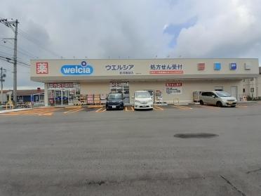 ウエルシア新潟横越店：290m