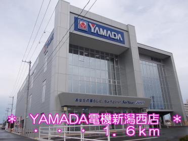 YAMADA電機新潟西店：1600m