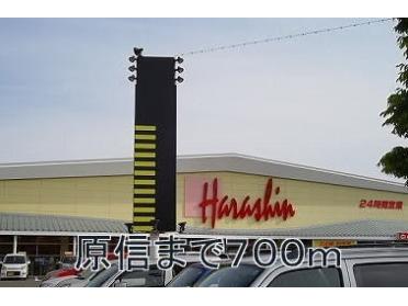 原信　河渡店：700m