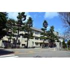 新潟市立新潟小学校：943m