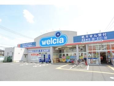 ウエルシア新潟小新店：719m