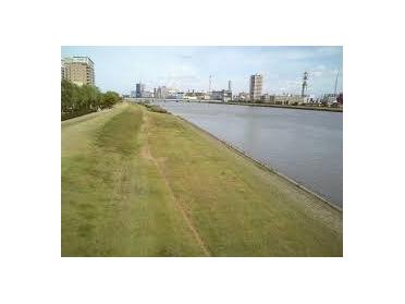 信濃川やすらぎ堤緑地：1486m