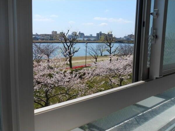 ダイアパレス川端町（902） 眺望