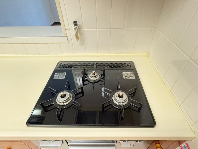 ダイアパレス医学町（303） 部屋画像