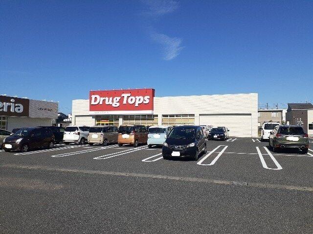 ドラッグトップスかめだ三條岡店：600m