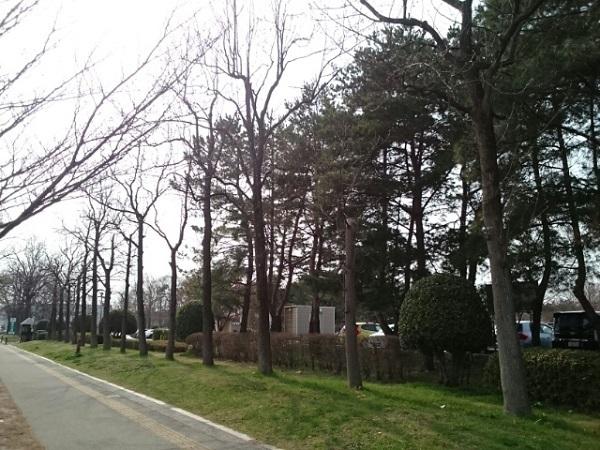 亀田公園：2600m