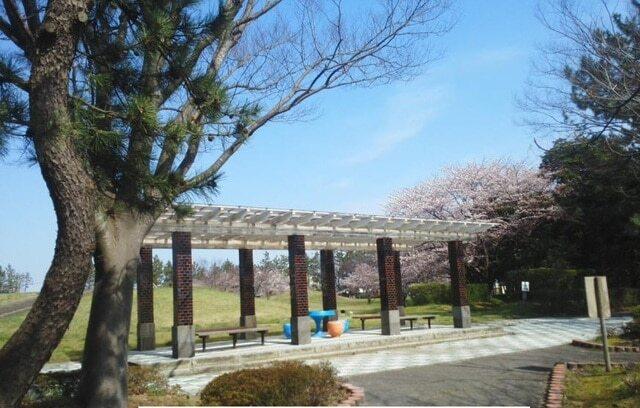 津島屋公園：10m