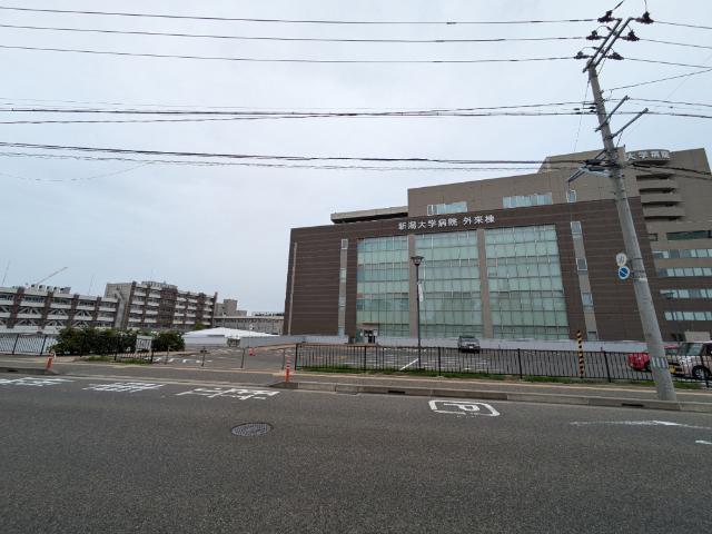 国立新潟大学歯学部：560m