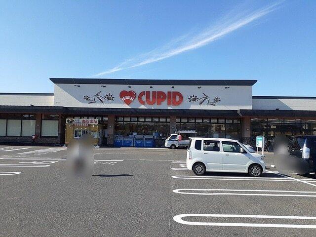 キューピットかめだ三條岡店：500m