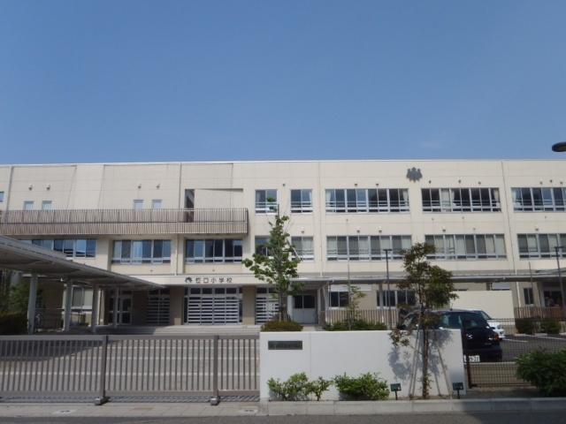 新潟市立笹口小学校：559m