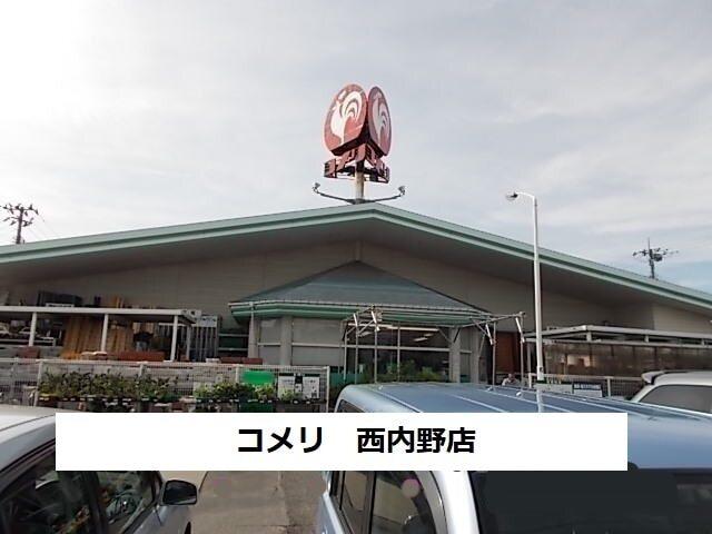 コメリハード＆グリーン西内野店：1500m