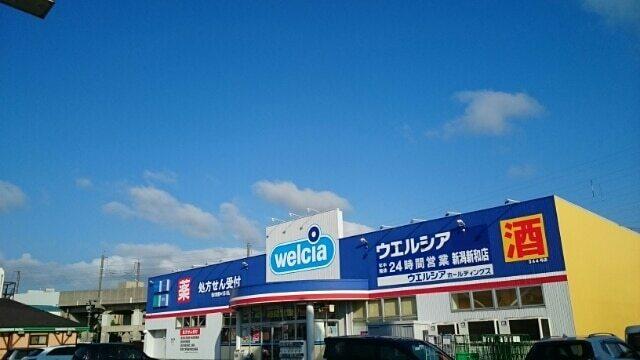 ウエルシア　新和店：650m