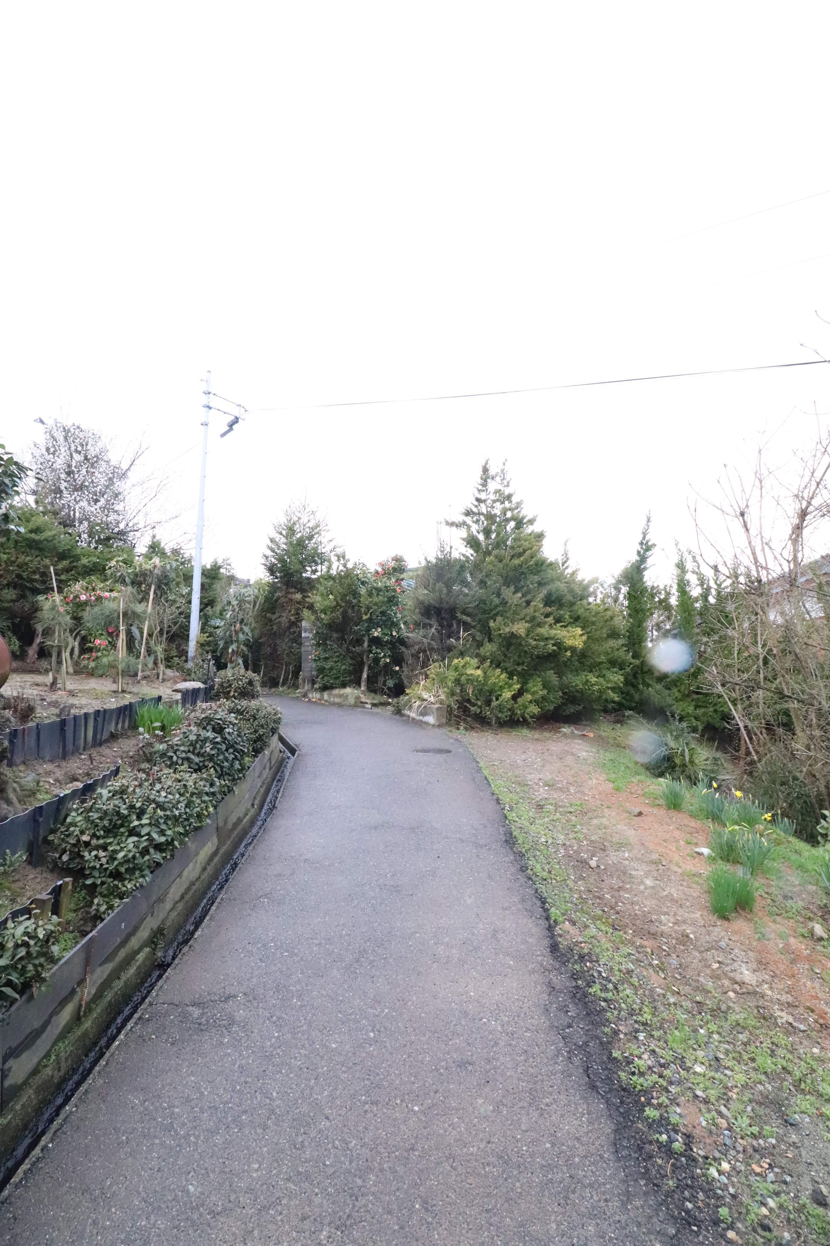 新潟市秋葉区田家一戸建 外観