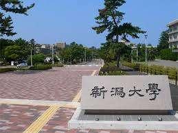 周辺環境画像