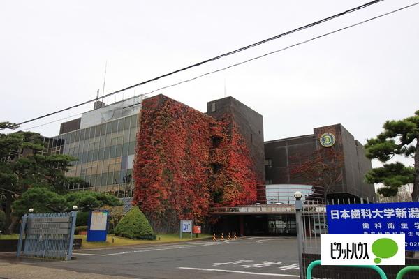 周辺環境画像