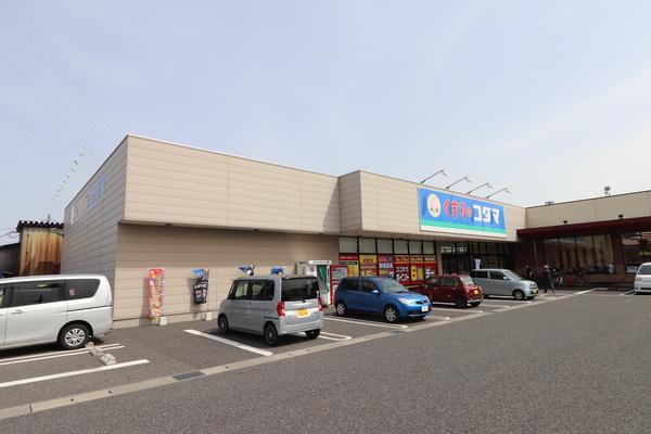 くすりのコダマ