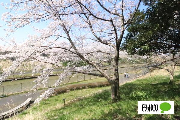 南区鷲ノ木新田川原土地 その他