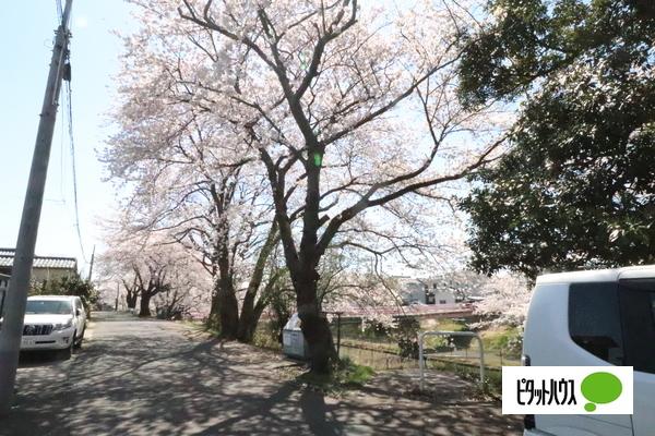 南区鷲ノ木新田川原土地 その他