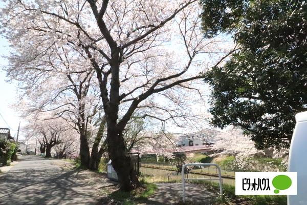 南区鷲ノ木新田川原土地 眺望